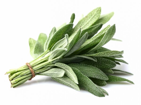 Organic Sage 20g