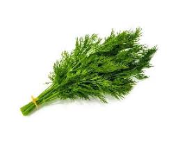 Organic Dill Leaves 50g