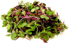 Organic Microgreens Mix 30g
