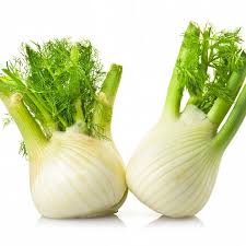Organic Fennel Bulb  1
