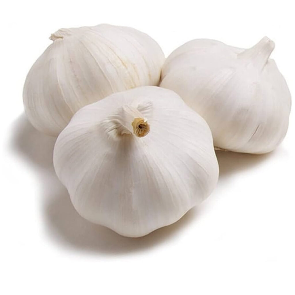 Fresh Garlic – Amazing Health Benefits & Urdu Meaning