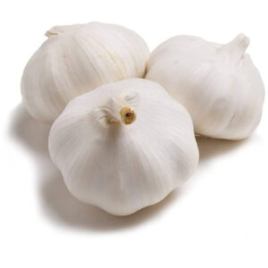 Fresh Garlic – Amazing Health Benefits & Urdu Meaning