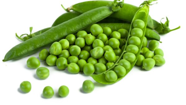 Fresh Green Peas – Amazing Health Benefits & Urdu Meaning