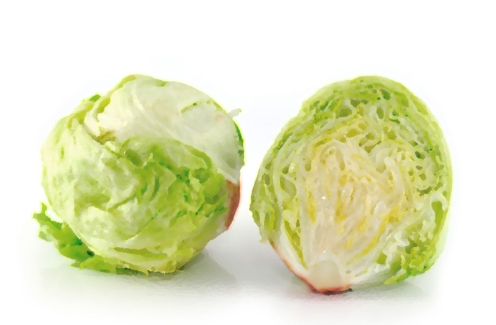 Imported Iceberg Lettuce - Image 3