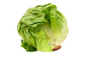 Imported Iceberg Lettuce - Image 4