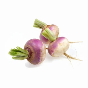 Fresh Turnip (Shaljam) – Amazing Health Benefits & Urdu Meaning