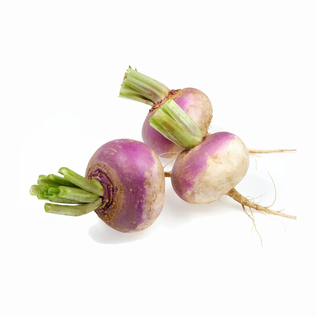 Fresh Turnip (Shaljam) – Amazing Health Benefits & Urdu Meaning