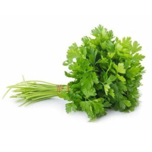 coriander coriander in urdu coriander meaning in urdu coriander seeds benefits coriander benefits