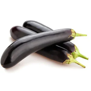 eggplant eggplant benefits eggplant meaning in urdu baingan brinja