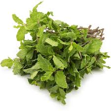 fresh mint fresh mint leaves mint pakistan mint