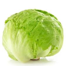 Imported Iceberg Lettuce Fresh and Crisp for Salad
