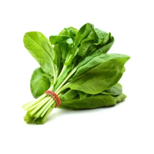 Fresh Spinach