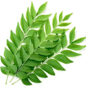 Imported Curry Leaves